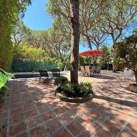 Marbella White Home, Calahonda, By Sol Maestranza Sitio de Calahonda エクステリア 写真